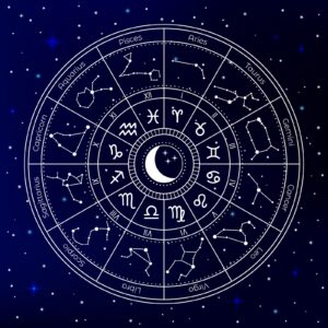 What insights does your zodiac sign provide regarding your work ethic?